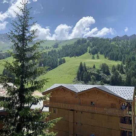 6 Pers, Plagne 1800, Avec Parking Et Acces Piscine - Fr-1-351-261 * 拉普拉涅