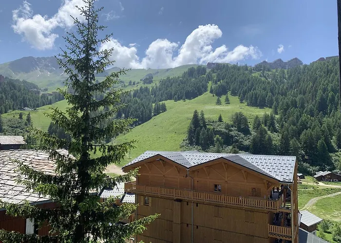 6 Pers, Plagne 1800, Avec Parking Et Acces Piscine - Fr-1-351-261 * 拉普拉涅